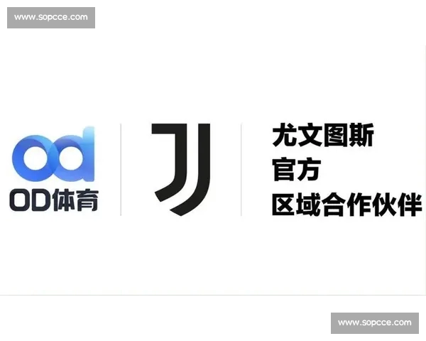 打造权威全面实时互动的体育资讯赛事数据入口平台服务球迷用户体验升级